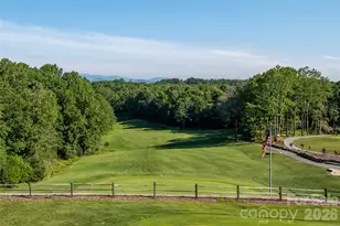 78 Wahuhu Ct, Brevard, NC 28712 - Photo 39