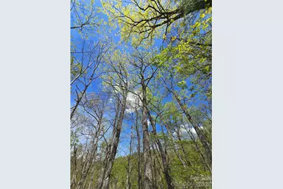 0 Winding Way Drive #32/33, Franklin, NC 28734 - Photo 7