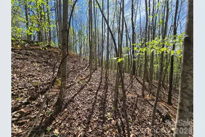 0 Winding Way Drive #32/33, Franklin, NC 28734 - Photo 9