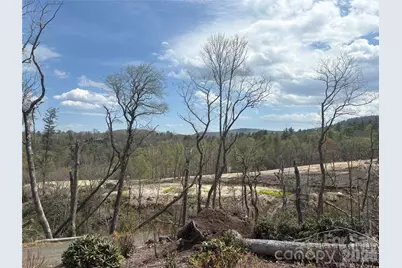 Tbd Swiss Pine Lake Drive #117, Spruce Pine, NC 28777 - Photo 9