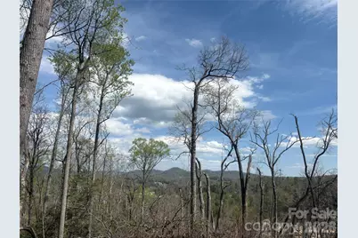 Tbd Swiss Pine Lake Drive #117, Spruce Pine, NC 28777 - Photo 7