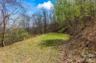 1299 Black Frst Dr, Bryson City, NC 28713 - Photo 43