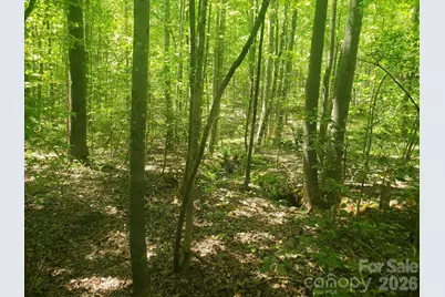 3727 Mount Beulah Road #5, Sherrills Ford, NC 28673 - Photo 7
