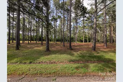 0000 Blessed Hope Road #3, York, SC 29745 - Photo 3