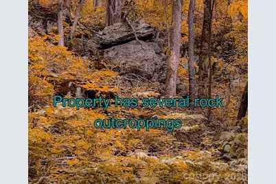 125 Gavin Glen Road, Weaverville, NC 28787 - Photo 9