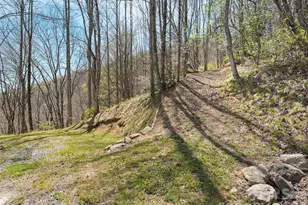 4823 Max Patch Rd, Clyde, NC 28721 - Photo 31