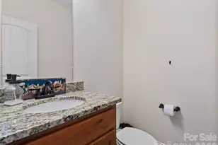 4823 Max Patch Rd, Clyde, NC 28721 - Photo 5