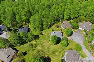 35 Stonecrest Ct, Flat Rock, NC 28731 - Photo 43