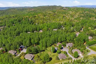 35 Stonecrest Ct, Flat Rock, NC 28731 - Photo 41