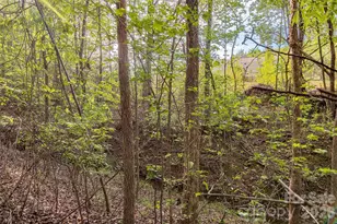 482 Jm Lovelace Rd, Ellenboro, NC 28040 - Photo 31