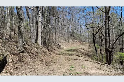 00 Big Ridge Road, Glenville, NC 28736 - Photo 3