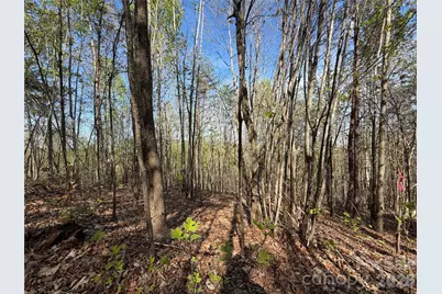 0 Running Cedar Trail, Morganton, NC 28655 - Photo 35