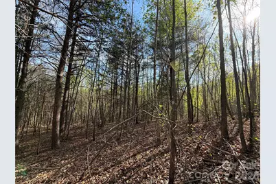 0 Running Cedar Trail, Morganton, NC 28655 - Photo 31