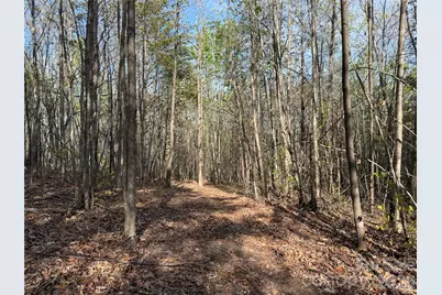 0 Running Cedar Trail, Morganton, NC 28655 - Photo 37