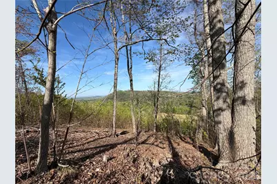 0 Running Cedar Trail, Morganton, NC 28655 - Photo 7
