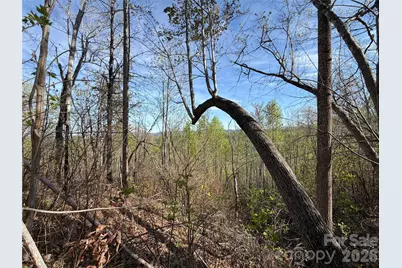 0 Running Cedar Trail, Morganton, NC 28655 - Photo 15