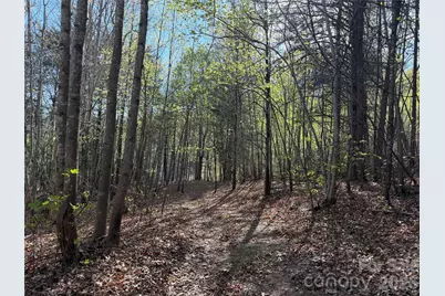 0 Running Cedar Trail, Morganton, NC 28655 - Photo 25