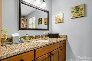 249 Boulder Run Dr, Lake Lure, NC 28746 - Photo 33