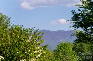 7 Ashley Rd, Asheville, NC 28805 - Photo 7