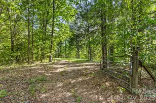 4386 Ivywoods Dr, Rock Hill, SC 29732 - Photo 43