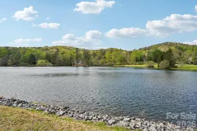 Lot 61 Deerlake Drive, Brevard, NC 28712 - Photo 3