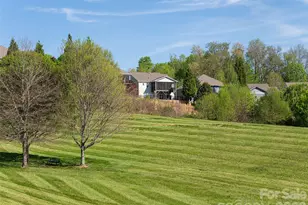 17 Dreambird Dr, Leicester, NC 28748 - Photo 39