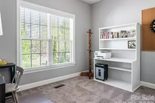 17 Dreambird Dr, Leicester, NC 28748 - Photo 19