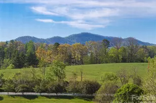17 Dreambird Dr, Leicester, NC 28748 - Photo 29