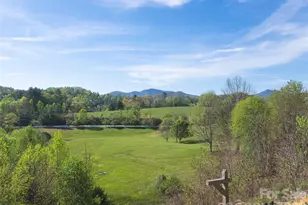 17 Dreambird Dr, Leicester, NC 28748 - Photo 33
