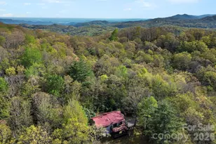 78 Highland Dr, Lake Toxaway, NC 28747 - Photo 5