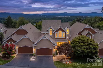 20 N Mission Hills Court, Mills River, NC 28759 - Photo 1