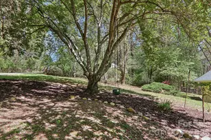 45 Crosswick Ln, Hendersonville, NC 28739 - Photo 47