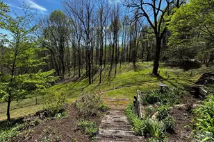 1618 Walnut Creek Rd, Waynesville, NC 28786 - Photo 39