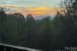 1618 Walnut Creek Rd, Waynesville, NC 28786 - Photo 23