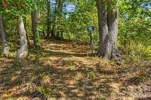 456 Maney Br Rd, Burnsville, NC 28714 - Photo 37