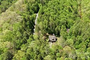 280 Bear River Lodge Trail, Marshall, NC 28753 - Photo 3