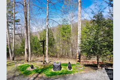 307 Dancing Leaf Lane, Bakersville, NC 28705 - Photo 1