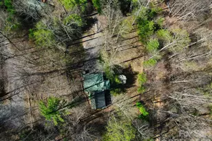 307 Dancing Leaf Ln, Bakersville, NC 28705 - Photo 23