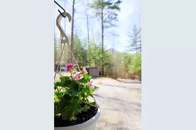 307 Dancing Leaf Lane, Bakersville, NC 28705 - Photo 19