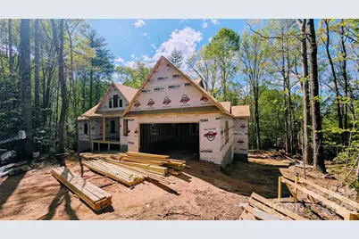 189 Laurel Ridge Road, Pisgah Forest, NC 28768 - Photo 3