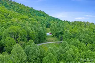 2380 Old Fort Rd, Black Mountain, NC 28711 - Photo 19