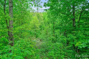 2380 Old Fort Rd, Black Mountain, NC 28711 - Photo 5