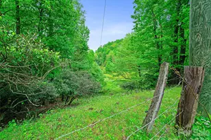 2380 Old Fort Rd, Black Mountain, NC 28711 - Photo 21