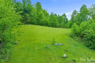 2380 Old Fort Rd, Black Mountain, NC 28711 - Photo 11