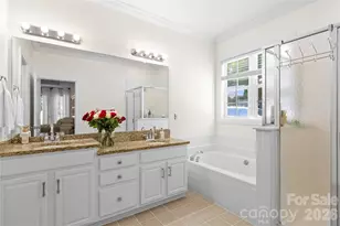 7536 Hannah Alexander Ln, Mint Hill, NC 28227 - Photo 19