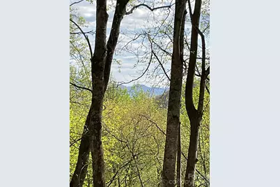 1414 Easy Wind Drive #56, Swannanoa, NC 28778 - Photo 11