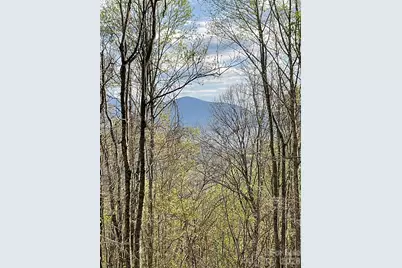 1414 Easy Wind Drive #56, Swannanoa, NC 28778 - Photo 7