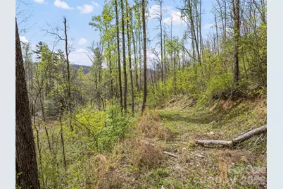 00 Willow Lane, Robbinsville, NC 28711 - Photo 13