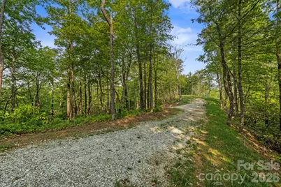 251 Paul McCoy Road, Lake Toxaway, NC 28747 - Photo 9