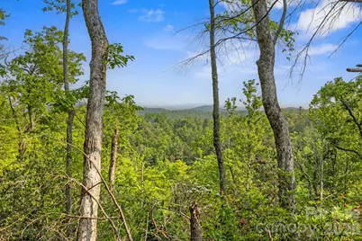 251 Paul McCoy Road, Lake Toxaway, NC 28747 - Photo 7